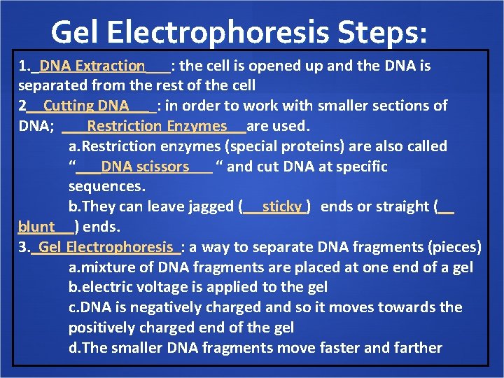 Gel Electrophoresis Steps: 1. _DNA Extraction___: the cell is opened up and the DNA