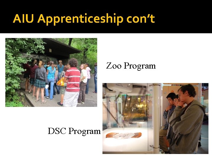 AIU Apprenticeship con’t Zoo Program DSC Program 