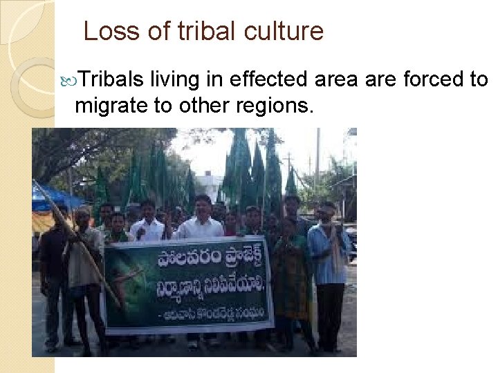 Loss of tribal culture Tribals living in effected area are forced to migrate to