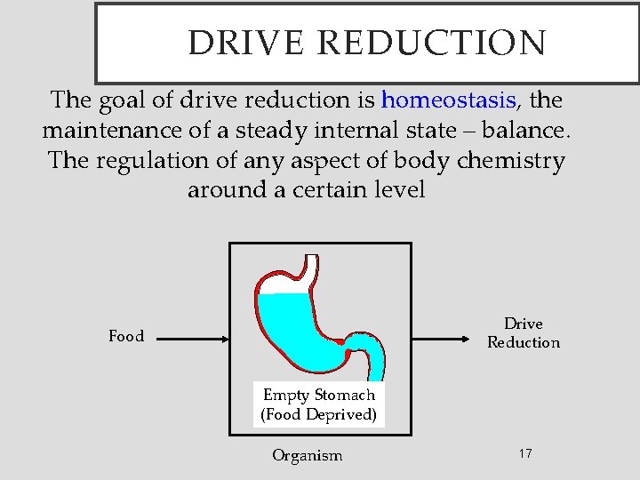 DRIVE REDUCTION The goal of drive reduction is homeostasis, the maintenance of a steady