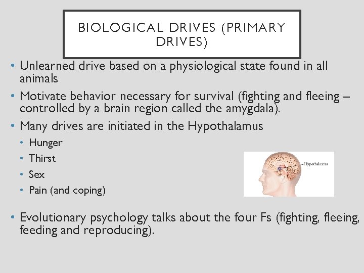 BIOLOGICAL DRIVES (PRIMARY DRIVES) • Unlearned drive based on a physiological state found in