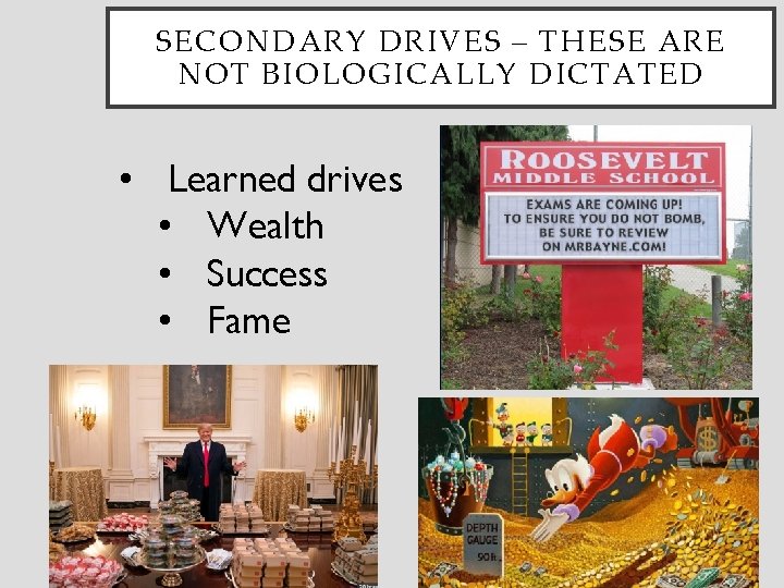 SECONDARY DRIVES – THESE ARE NOT BIOLOGICALLY DICTATED • Learned drives • Wealth •