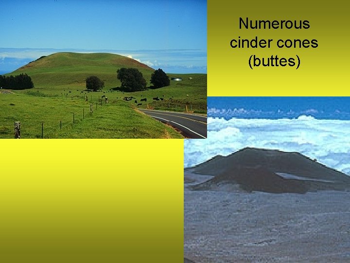 Numerous cinder cones (buttes) 