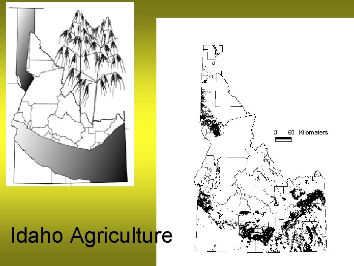 Idaho Agriculture 