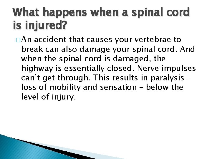 What happens when a spinal cord is injured? � An accident that causes your