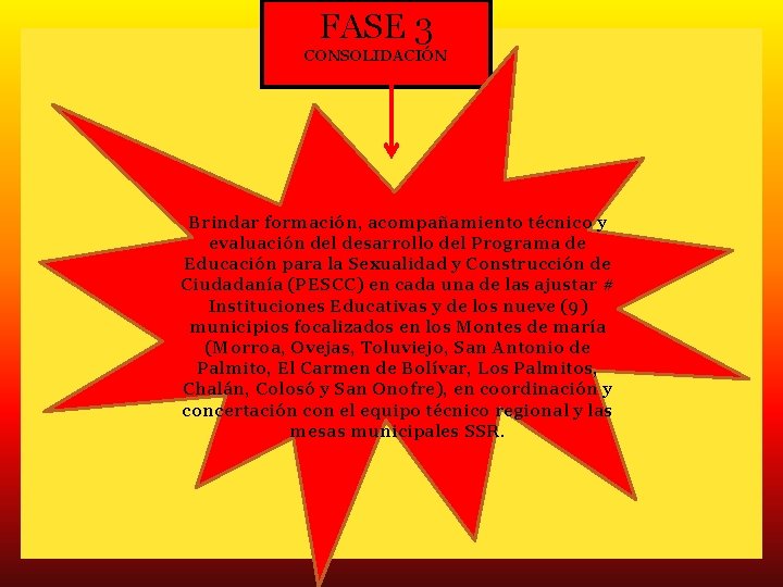 FASE 3 CONSOLIDACIÓN Brindar formación, acompañamiento técnico y evaluación del desarrollo del Programa de