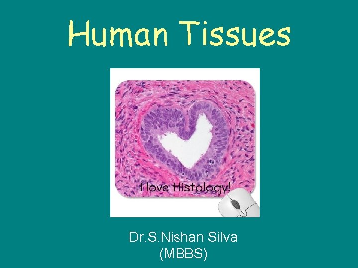 Human Tissues Dr. S. Nishan Silva (MBBS) 