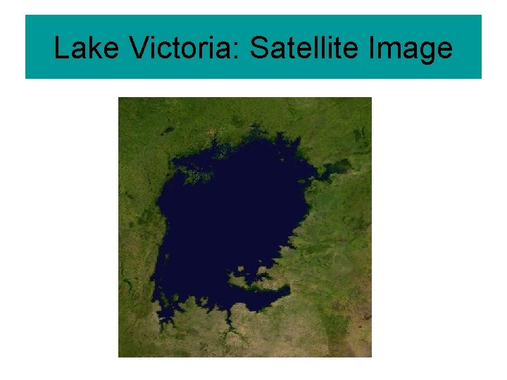 Lake Victoria: Satellite Image 