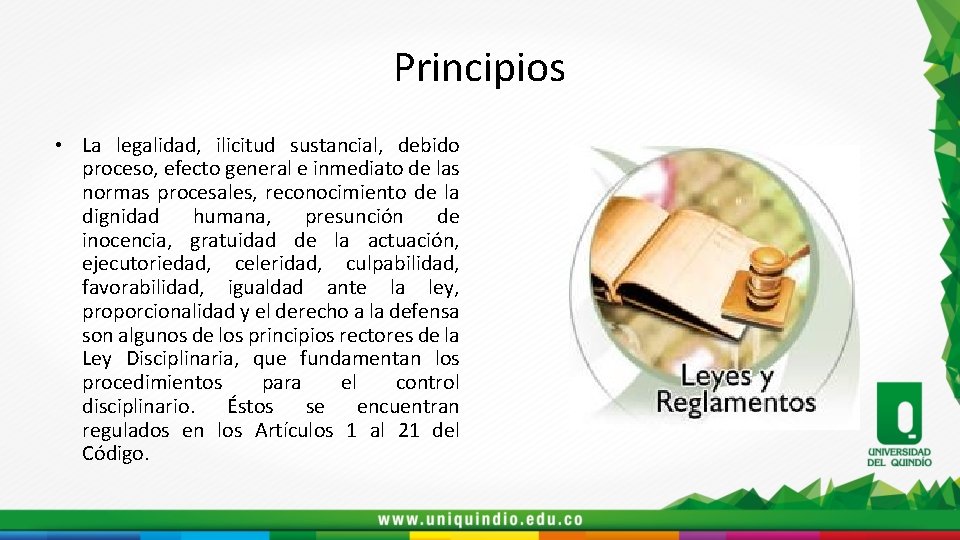 Principios • La legalidad, ilicitud sustancial, debido proceso, efecto general e inmediato de las