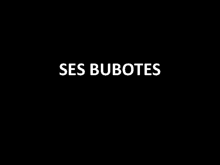 SES BUBOTES 