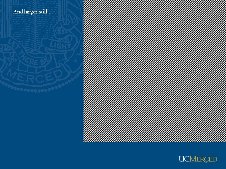 And larger still. . . 