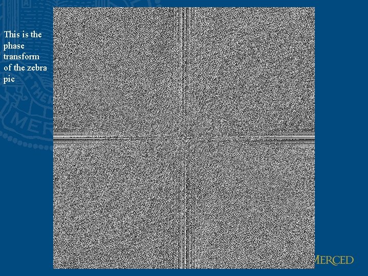 This is the phase transform of the zebra pic 