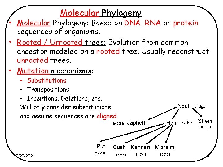 Molecular Phylogeny • Molecular Phylogeny: Based on DNA, RNA or protein sequences of organisms.