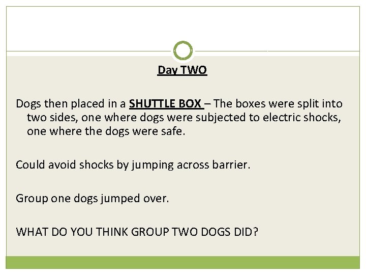 Day TWO Dogs then placed in a SHUTTLE BOX – The boxes were split