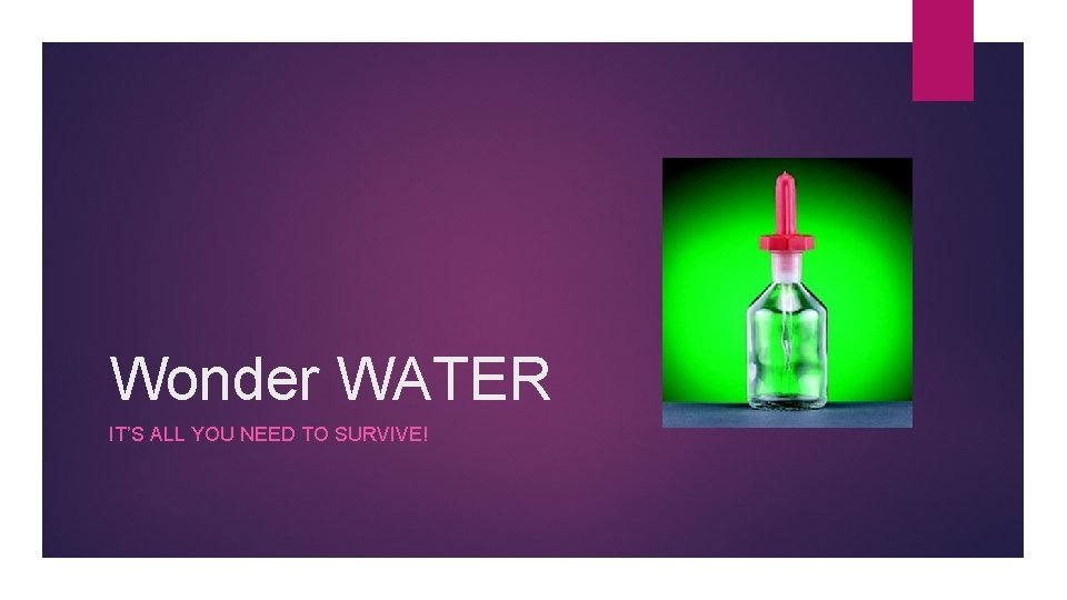 Wonder WATER IT’S ALL YOU NEED TO SURVIVE! 