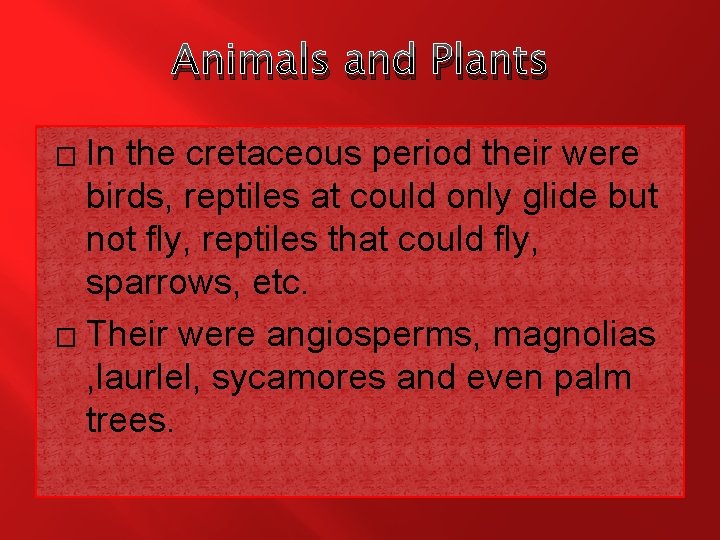 Animals and Plants In the cretaceous period their were birds, reptiles at could only