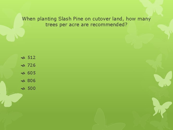 When planting Slash Pine on cutover land, how many trees per acre are recommended?