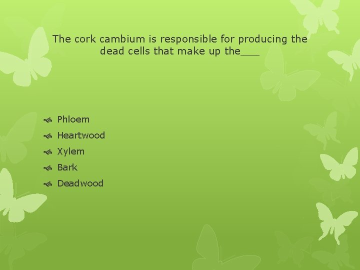 The cork cambium is responsible for producing the dead cells that make up the___