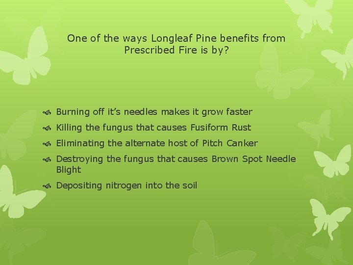 One of the ways Longleaf Pine benefits from Prescribed Fire is by? Burning off