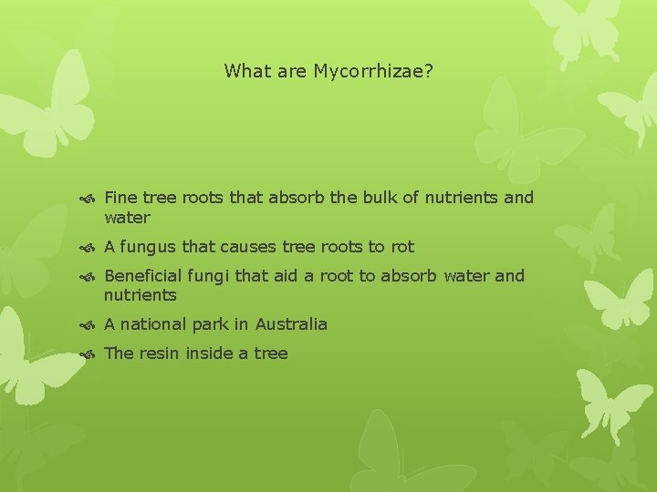 What are Mycorrhizae? Fine tree roots that absorb the bulk of nutrients and water