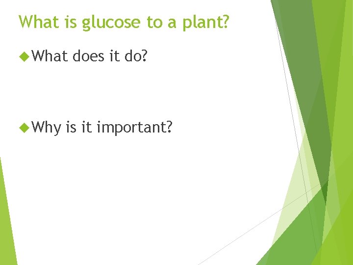 What is glucose to a plant What Why