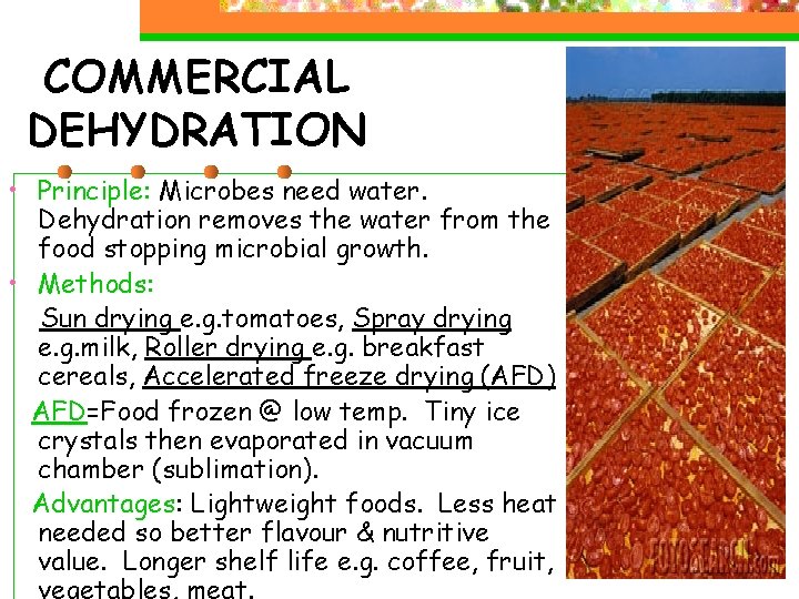 COMMERCIAL DEHYDRATION • Principle: Microbes need water. Dehydration removes the water from the food