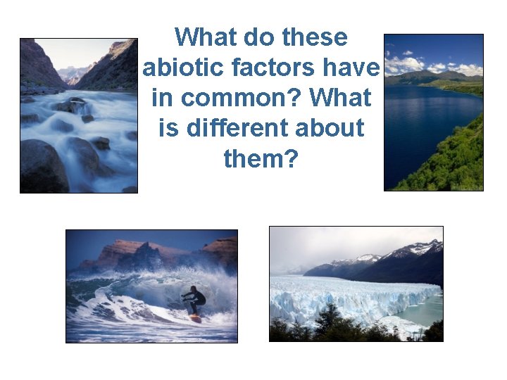 What do these abiotic factors have in common? What is different about them? 