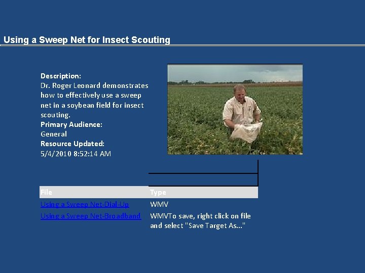 Rice Stink Bug Management A program in transition