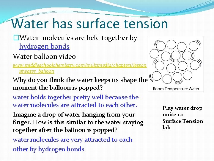 Water has surface tension �Water molecules are held together by hydrogen bonds Water balloon