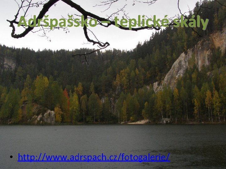 Adršpašsko – teplické skály • http: //www. adrspach. cz/fotogalerie/ 