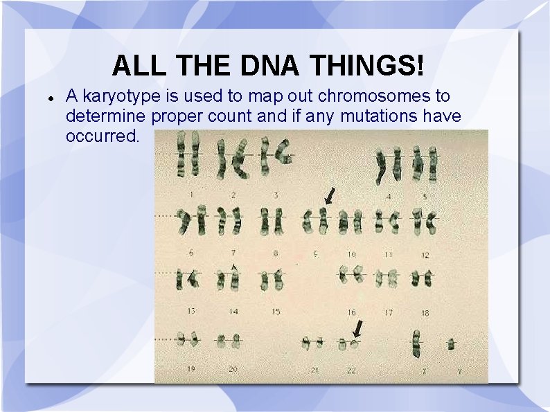 ALL THE DNA THINGS! A karyotype is used to map out chromosomes to determine