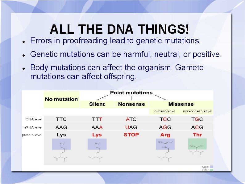 ALL THE DNA THINGS! Errors in proofreading lead to genetic mutations. Genetic mutations can