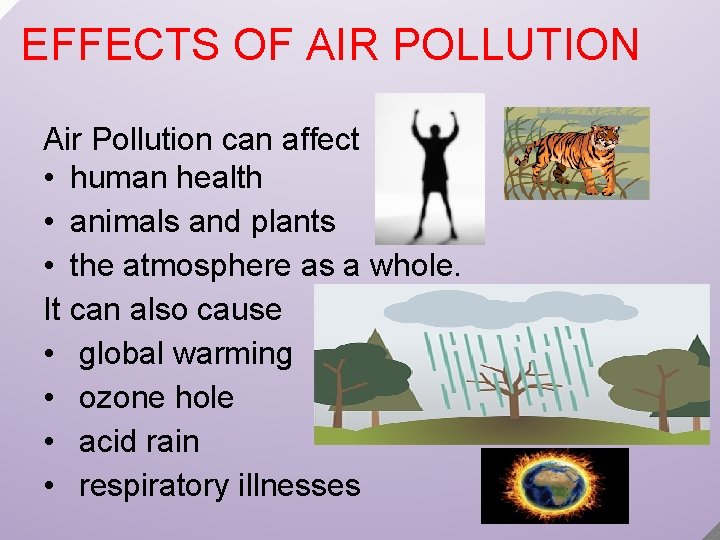 EFFECTS OF AIR POLLUTION Air Pollution can affect • human health • animals and