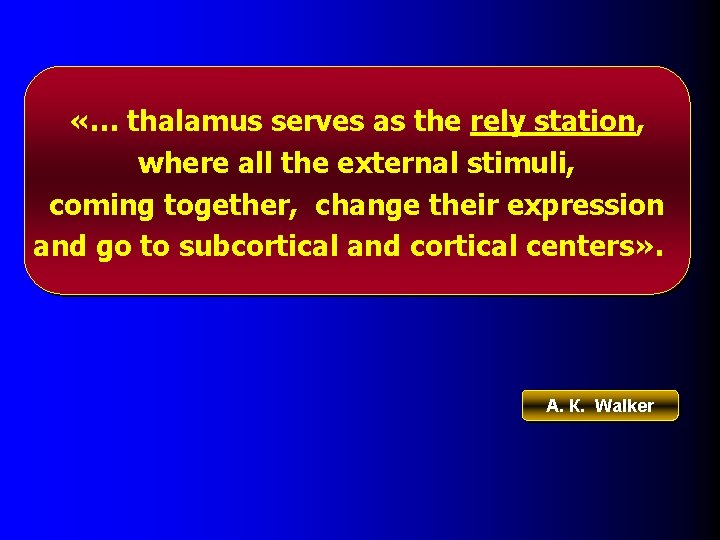  «… thalamus serves as the rely station, where all the external stimuli, coming