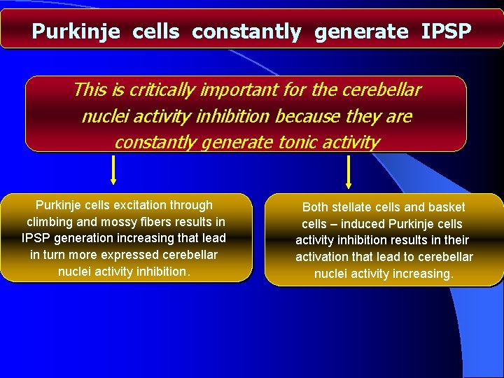 Purkinje cells constantly generate IPSP This is critically important for the cerebellar nuclei activity