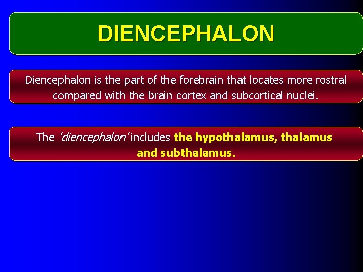 DIENCEPHALON Diencephalon is the part of the forebrain that locates more rostral compared with