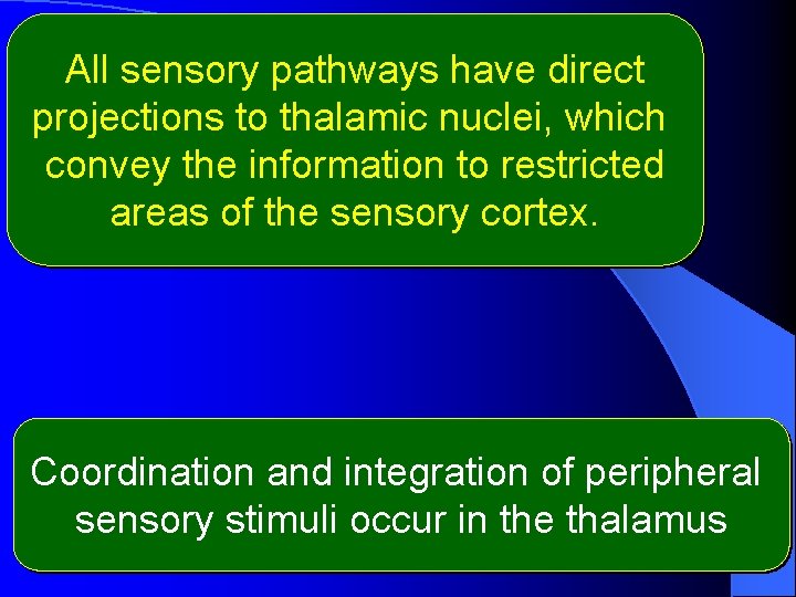 All sensory pathways have direct projections to thalamic nuclei, which convey the information to