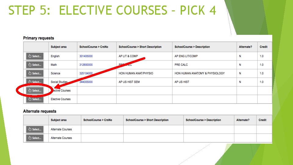 STEP 5: ELECTIVE COURSES – PICK 4 