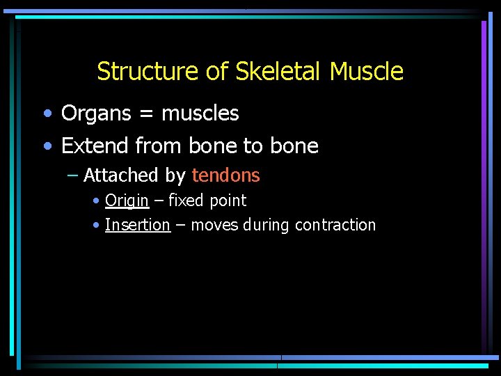 Structure of Skeletal Muscle • Organs = muscles • Extend from bone to bone Structure of Skeletal Muscle • Organs = muscles • Extend from bone to bone