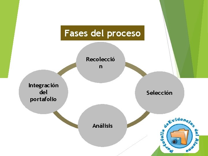 Fases del proceso Recolecció n Integración del portafolio Selección Análisis 