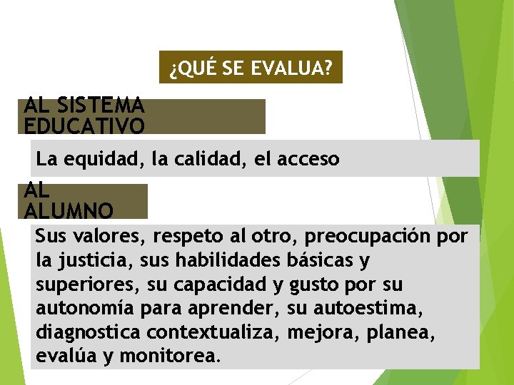 ¿QUÉ SE EVALUA? AL SISTEMA EDUCATIVO La equidad, la calidad, el acceso AL ALUMNO