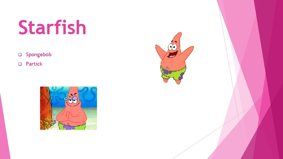 Starfish q Spongebob q Partick 