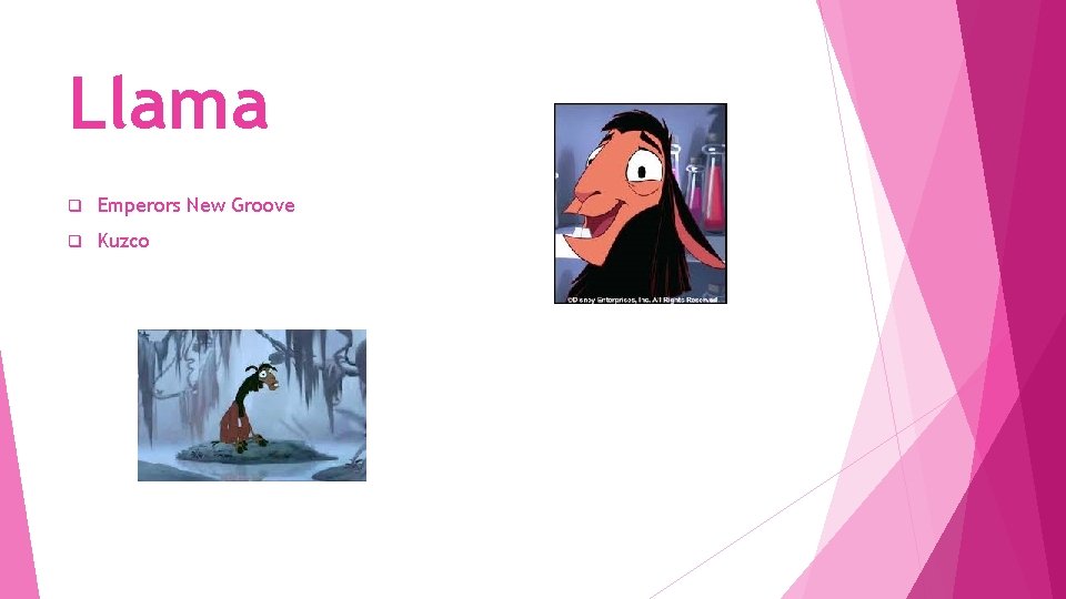 Llama q Emperors New Groove q Kuzco 