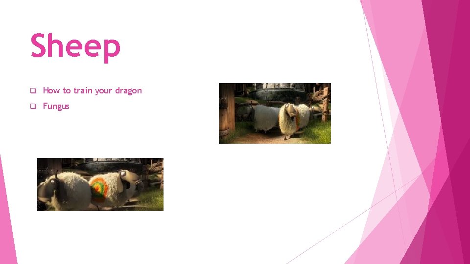 Sheep q How to train your dragon q Fungus 