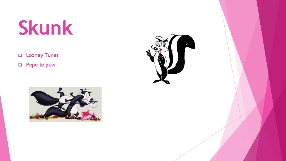 Skunk q Looney Tunes q Pepe le pew 