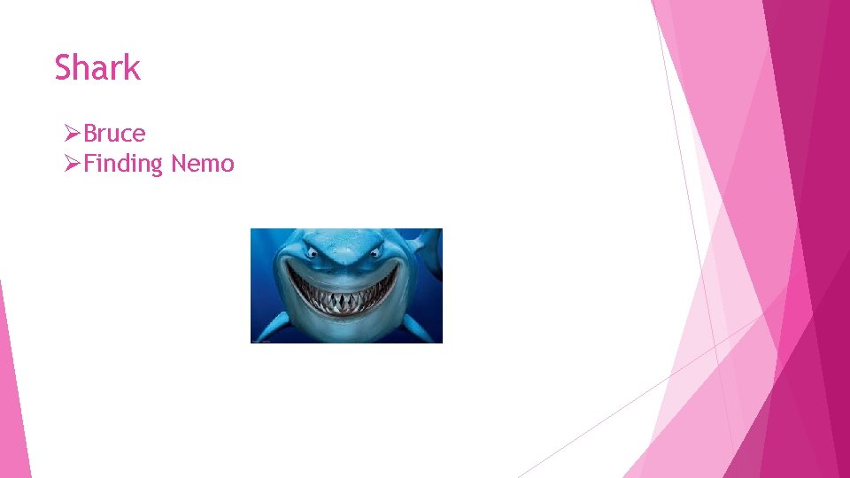 Shark ØBruce ØFinding Nemo 