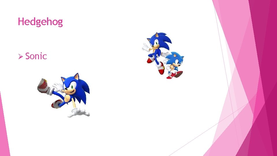 Hedgehog Ø Sonic 