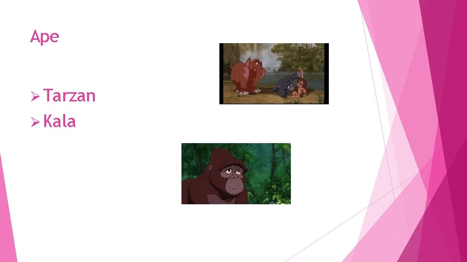 Ape Ø Tarzan Ø Kala 