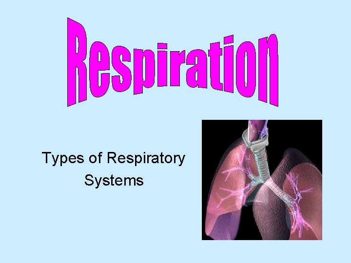 Types of Respiratory Systems 