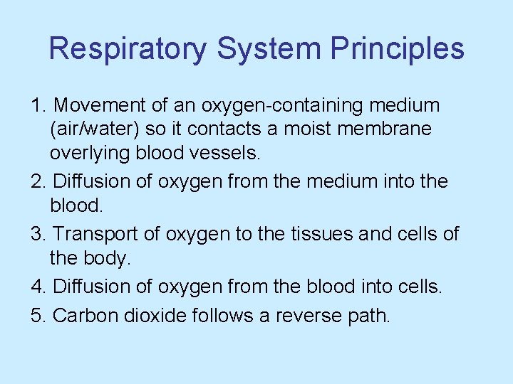 Respiratory System Principles 1. Movement of an oxygen-containing medium (air/water) so it contacts a